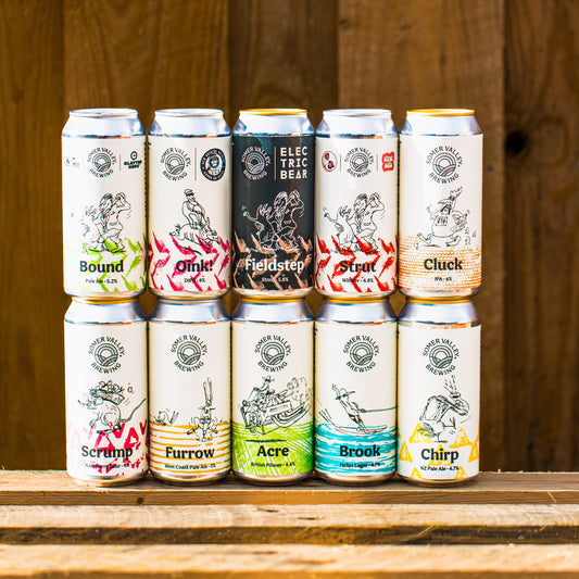 Somer Valley Brewing