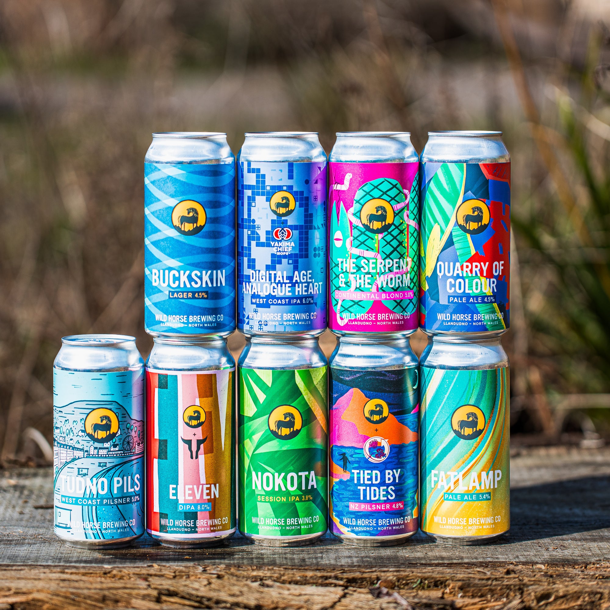 Wild Horse Brewing Co