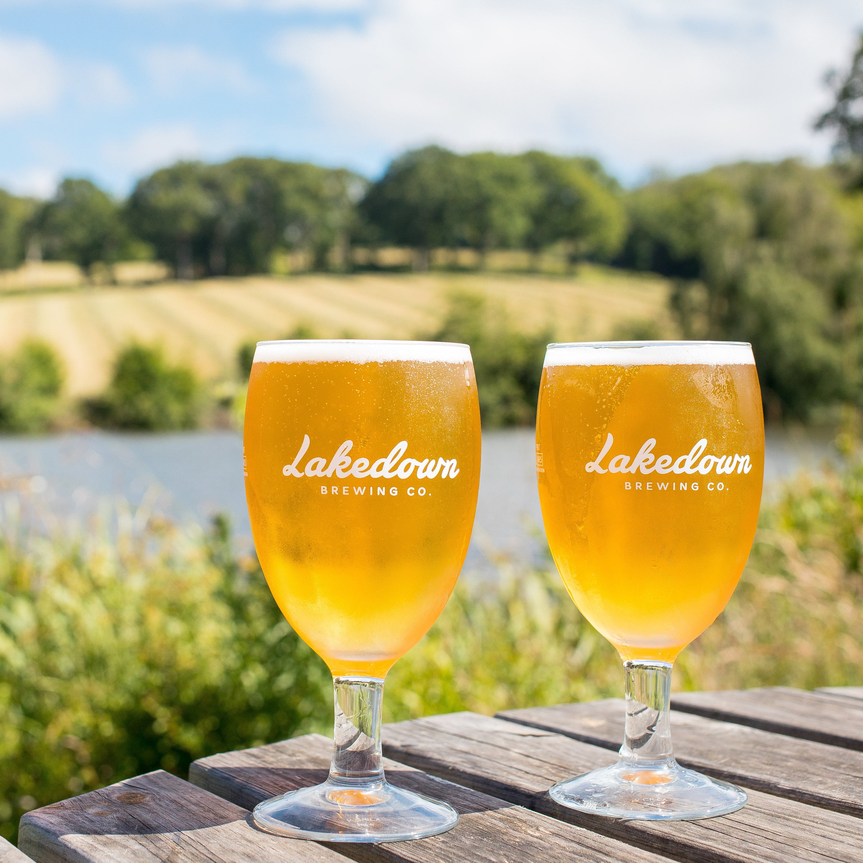 Lakedown Brewing Company