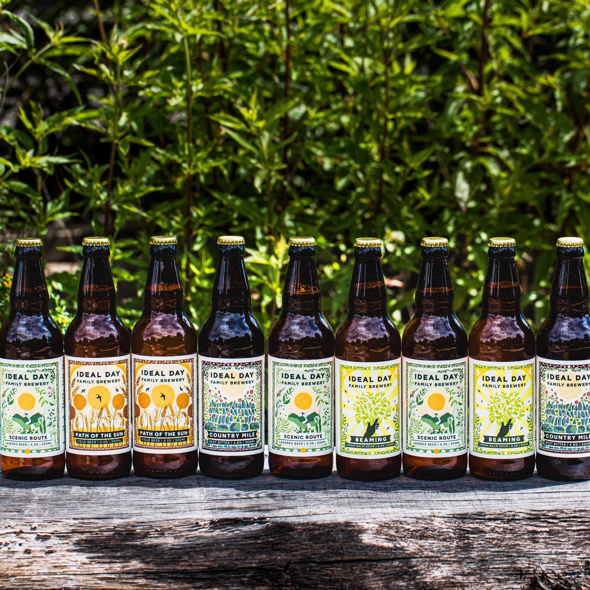 Ideal Day Family Brewery bottles in a row outdoors against green foliage, Brewser craft beer subscription
