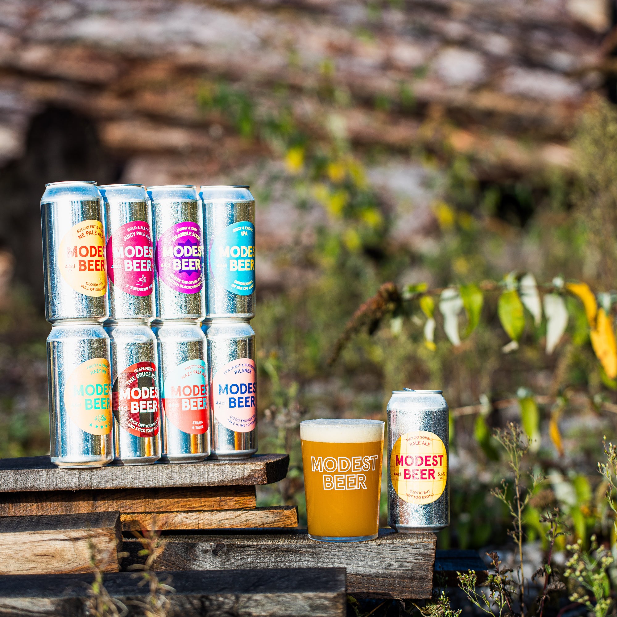 Modest Beer