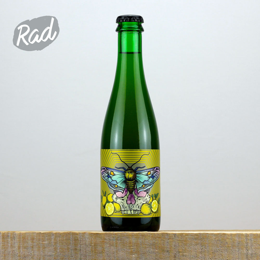 Holy Goat x Newbarns Limonata Sour