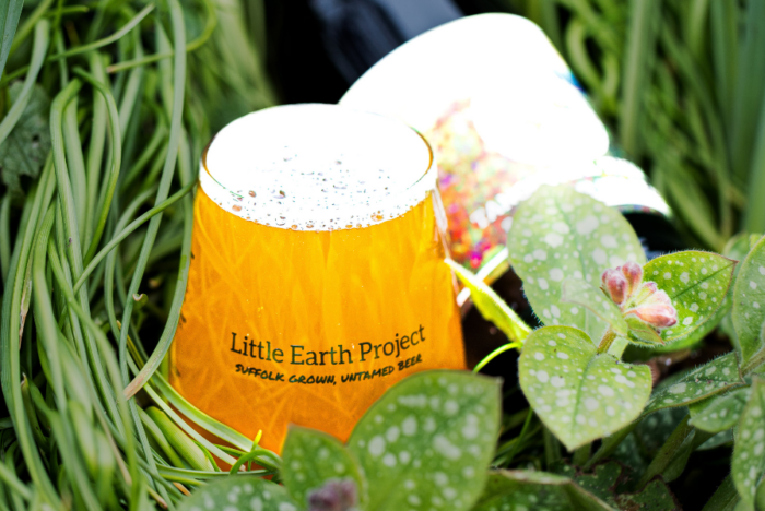 Little Earth Project featured image
